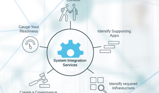 System Consultancy & Integration